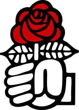 Bild: Red Rose:  immer noch rot...