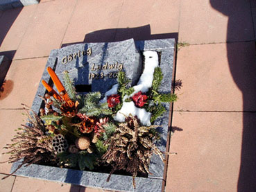 Bild: Grab von Ludwig Göring in  Ittersbach 