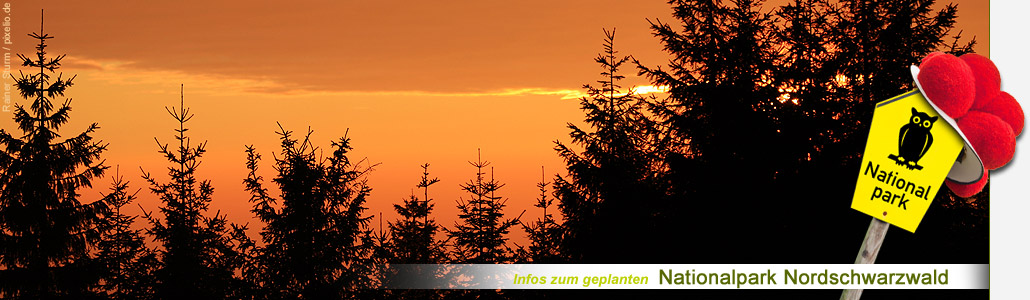Bild: Die Abendsonne ber dem neuen Nationalpark..