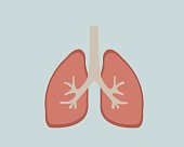 Bild: Menschliche Lunge