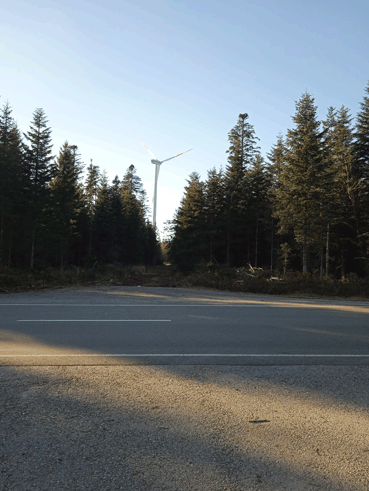 Bild: Windrad im Schwarzwald bei Simmersfeld (Foto:ron)