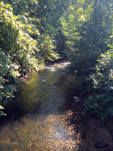 Bild: Auch Zufl�sse wie die Enz bei Bad Wildbad f�hren aktuell wenig Wasser (Foto:ron)